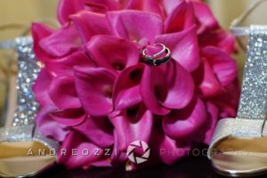 14568065_1127691890652991_3294923040724389213_n